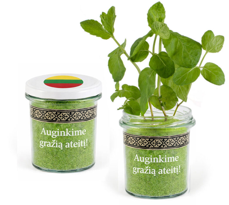 Verslo dovanos iš sėklų su įmonės logotipu/auginimo rinkiniai